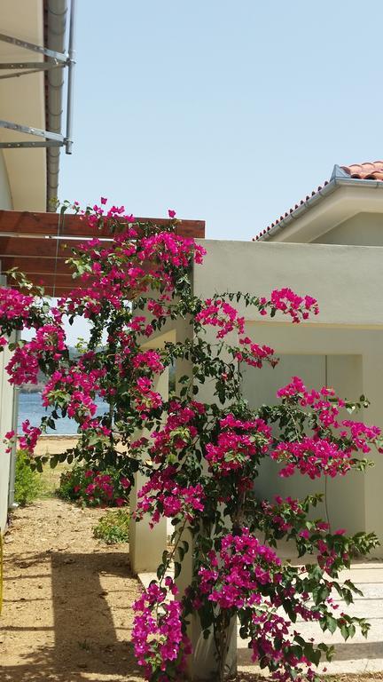 Thea Houses Milína Esterno foto